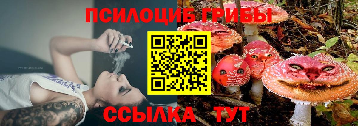 Псилоцибиновые грибы мухоморы Рыбинск