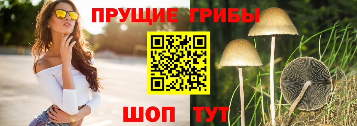 Галлюциногенные грибы мухоморы  Вход с VPN  Рыбинск  Псилоцибиновые грибы Cubensis 